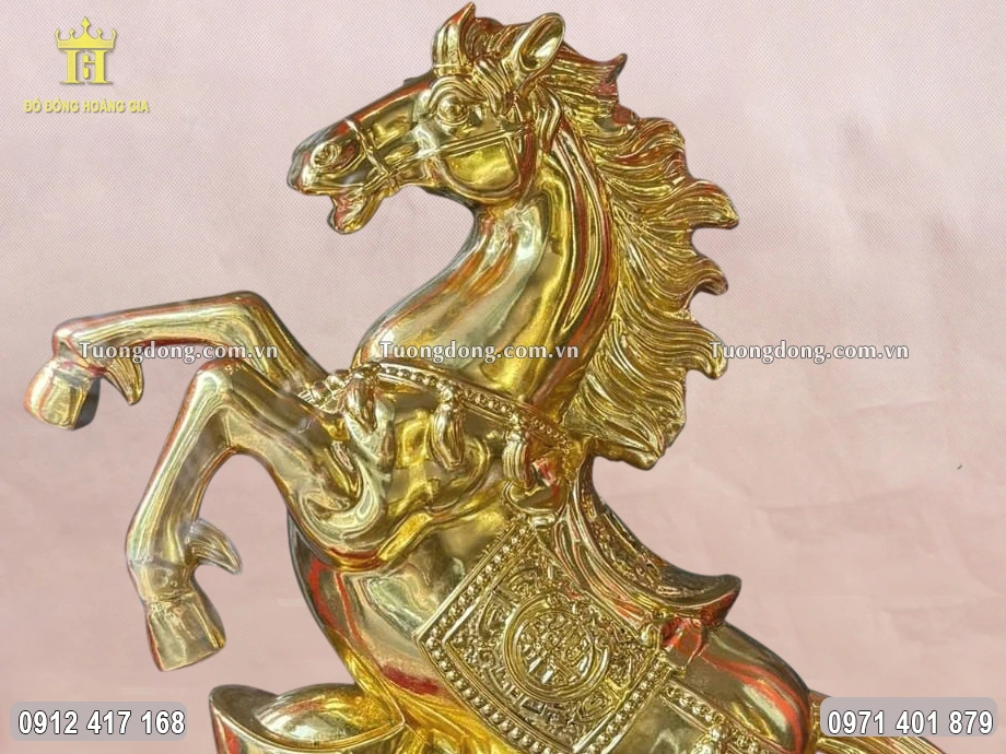 Lông bờm ngựa dày, mềm mại, uốn lượn